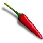 Popular Chilli Plant Growing Accessories