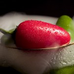 How to Freeze Peppers