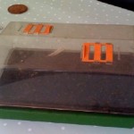 Chilli Seeds Planted