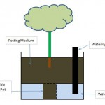 Self Watering Container - Plans