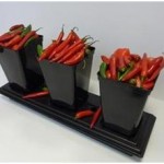 Chilli Propagators