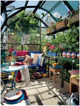 Glasshouses are great for growing chillies Glassehouses are great for growing chillies