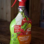Dealing with aphids