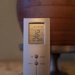 Best Temperature to Germinate Chillies