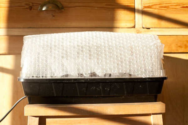 Insulated propagator