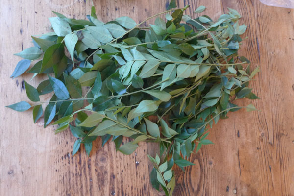 Fresh Curry Leaves