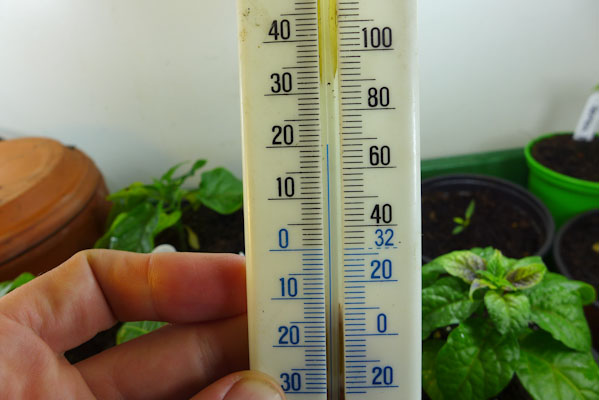 Temperature for Growing Peppers