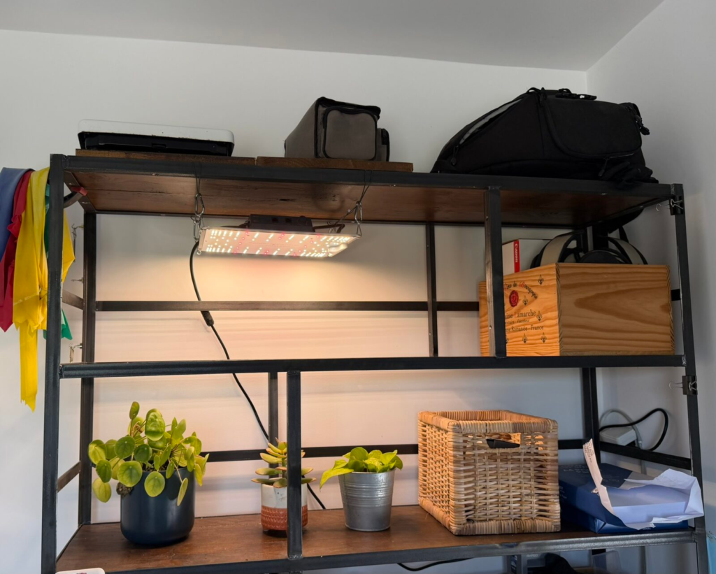 My LED Chilli Grow Light Set Up