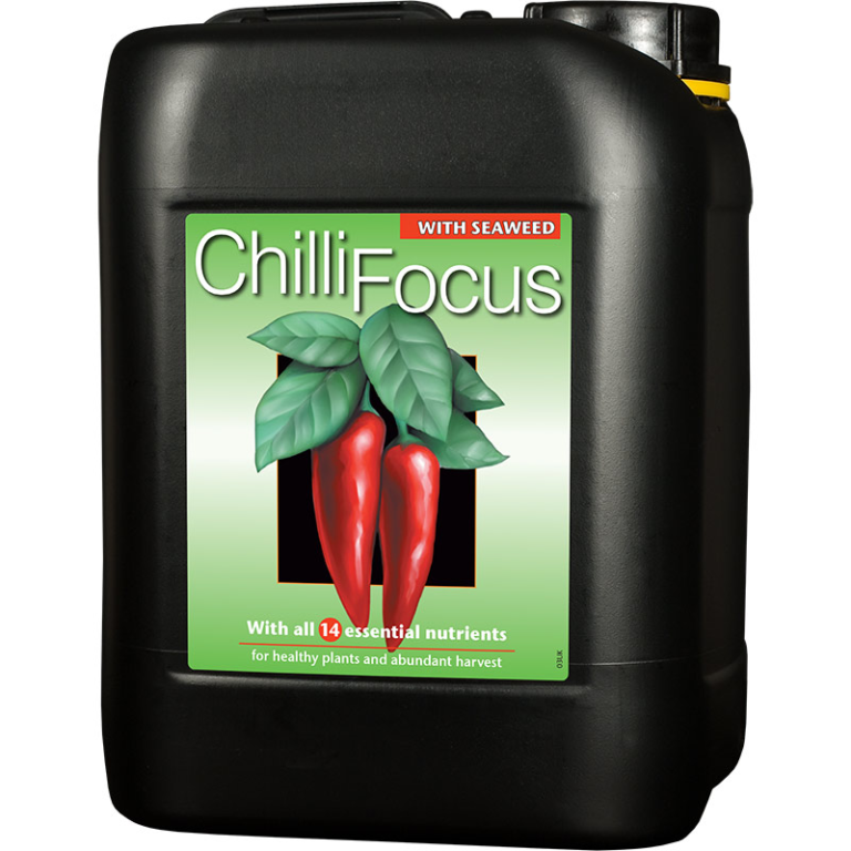 Chilli Focus Chilli Food